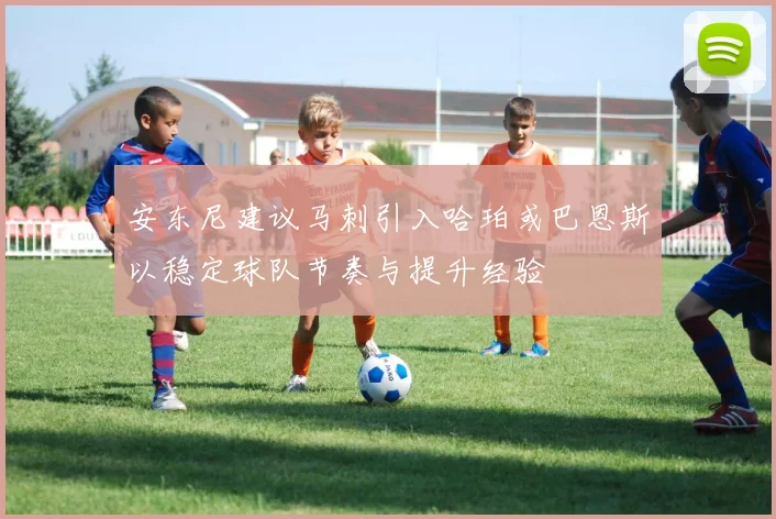 安东尼建议马刺引入哈珀或巴恩斯以稳定球队节奏与提升经验