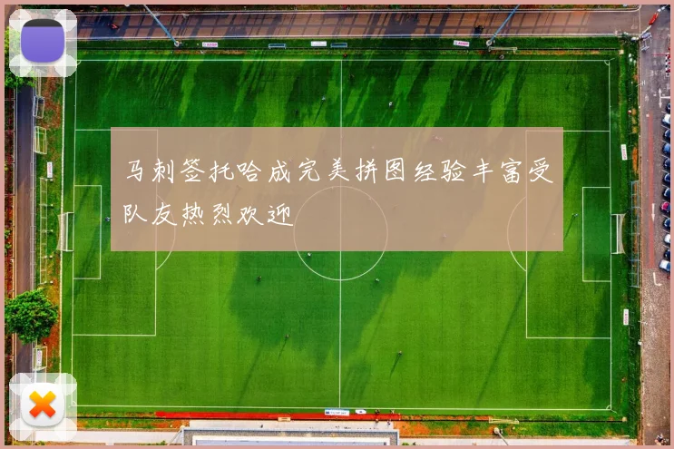 马刺签托哈成完美拼图经验丰富受队友热烈欢迎
